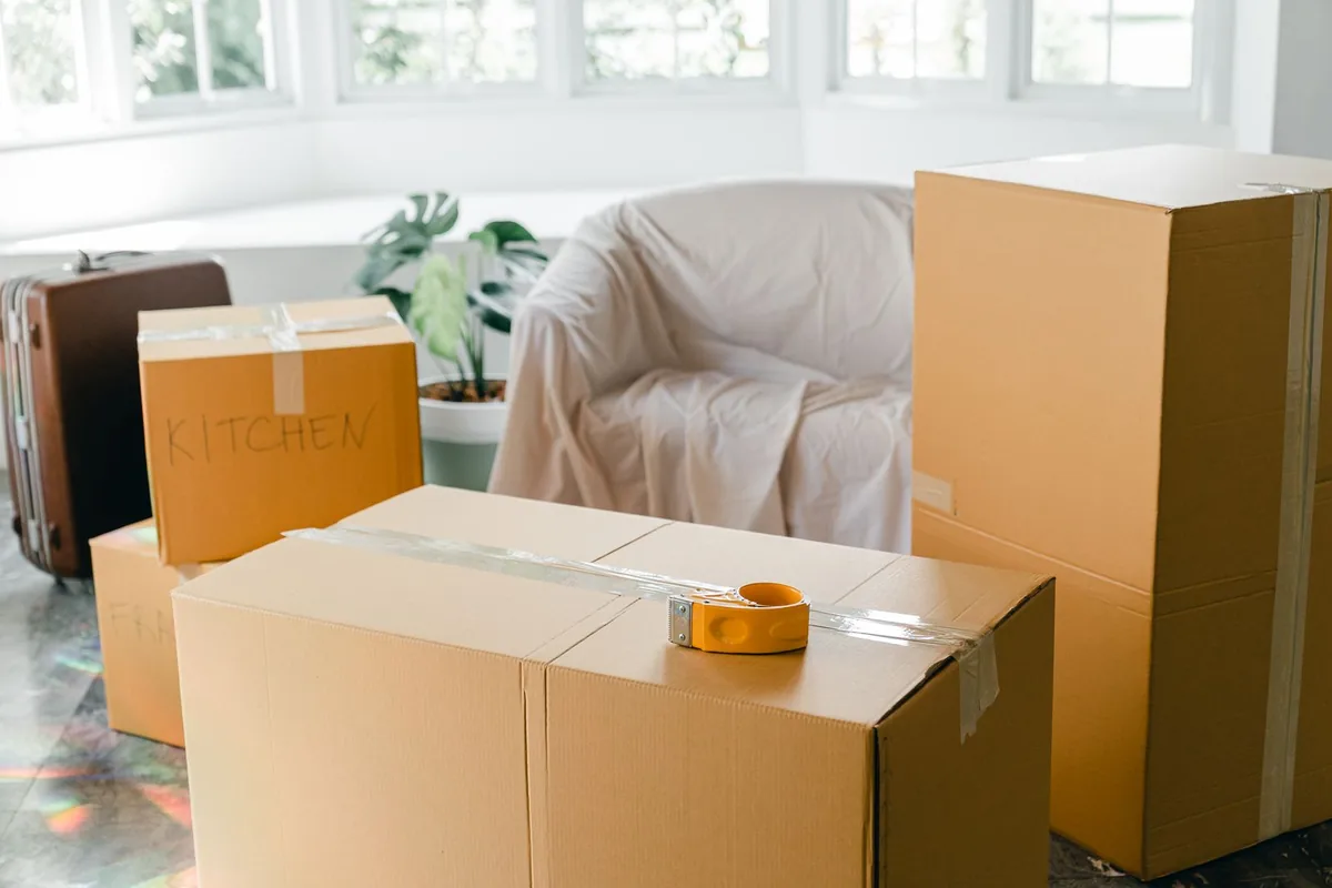 Hoarding Cleanup in Euclid-St Paul, St. Petersburg, FL